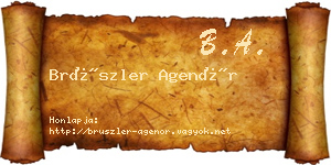 Brüszler Agenór névjegykártya